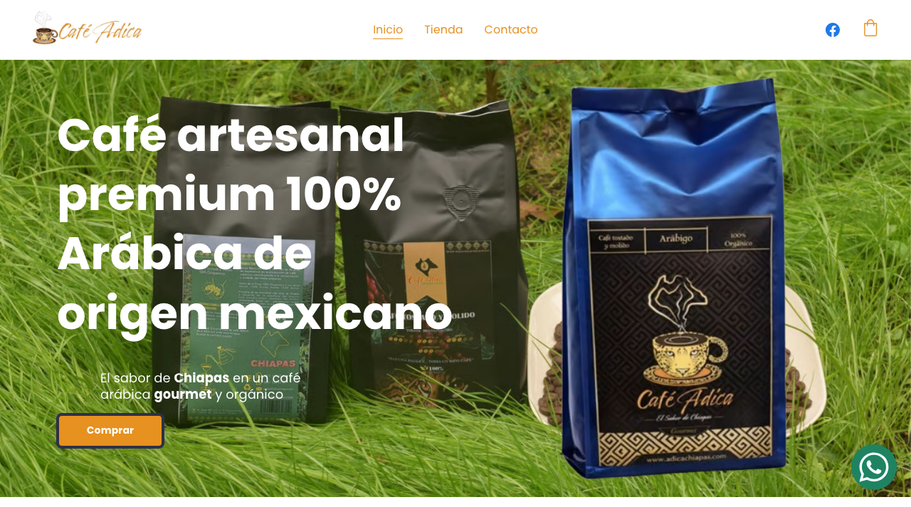 Dsieño web en Cabo san lucas